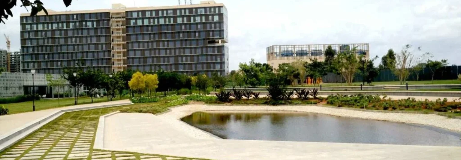 Yen Blr -Carousel - 3